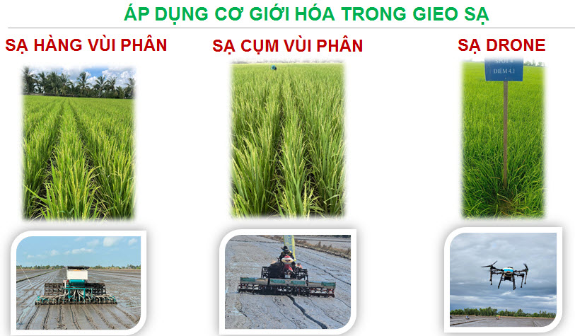 Đề án 1 triệu ha lúa chất lượng cao Giải quyết nguồn vốn cho doanh nghiệp lúa gạo - Ảnh 1.